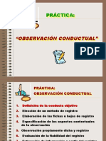 observacion (2)