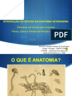 Anatomia e Fisiologia Comparada Dos Animais Domésticos