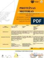 Proteínas Motoras.