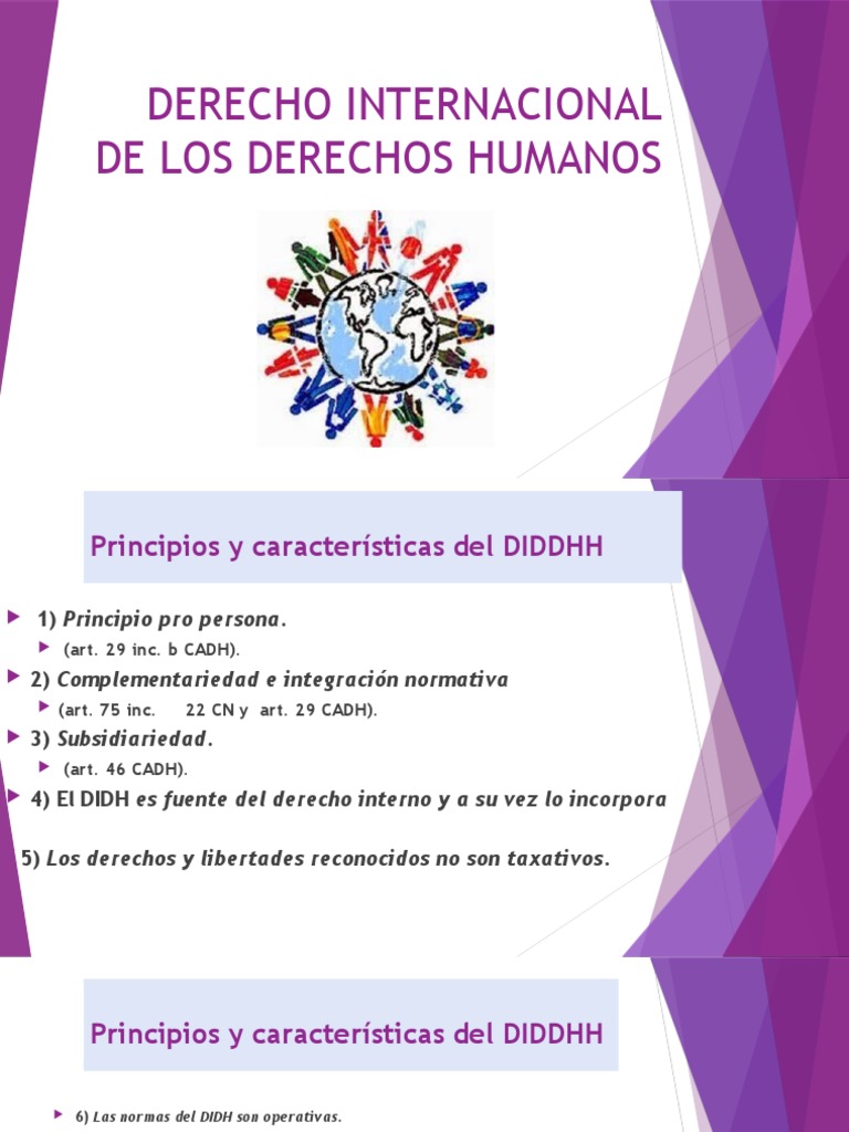 Principios del Derecho Internacional de DDHH | PDF | Tratado | Derechos ...