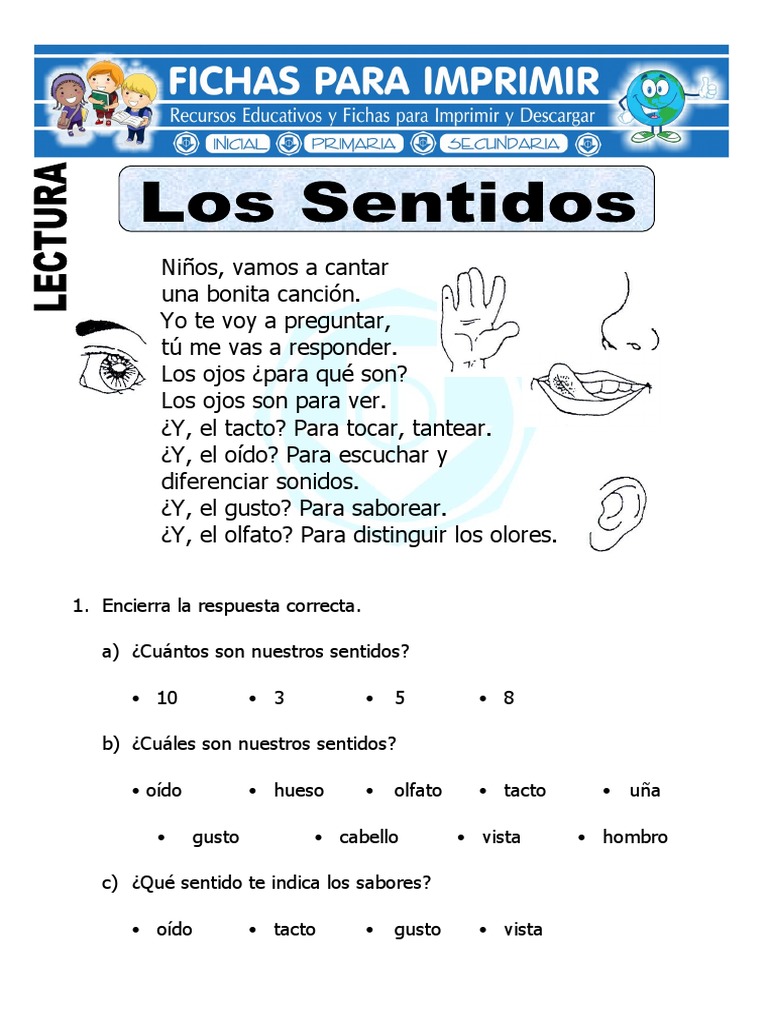 Ficha de Los Sentidos para Primaria | PDF