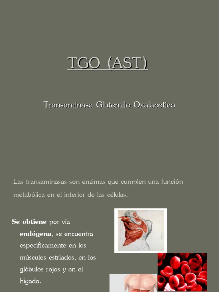 Definición y Análisis de TGO (AST) | PDF | Transaminasa ...