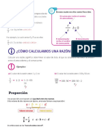 resumen razones