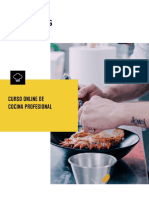 Dossier Cocina Profesional Online