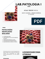Atlas 5 Patologías de Neoplasia Maligna