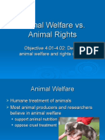 Animal Welfare vs. Animal Rights