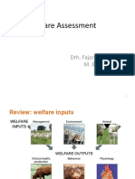 Welfare Assesment Print