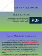 Nucleotide Metabolism - En.id