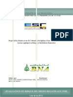 Evaluation Des Risques D'octroi de Credit Aux PME