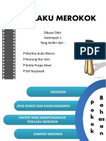 KELOMPOK 1_MEROKOK