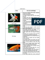 Nama Ikan Hias Ciri-Ciri Morfologi