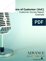 Voice of Customer VoC Report Example