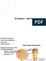 GI Physiology - Pancreatic, Liver, and Intestinal Functions