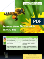 The Honey Bee and A Momin-By-NQ Student