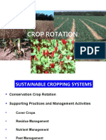24 Crop Rotation Principles Types
