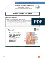 MODULE 7_CHEST AND LUNGS