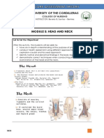 MODULE 5_HEAD AND NECK