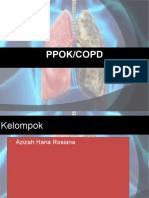 PPOK