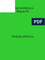 Materi Hukum Pidana 