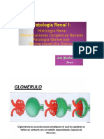 5 PATOLOGÍA RENAL I