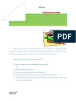 Aplicatie Practica in Word