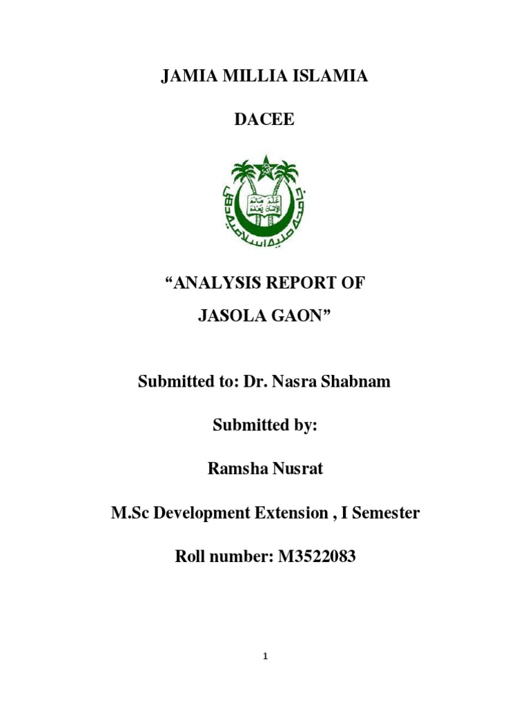 Jasola Gaon Community Analysis Report | PDF | Sanitation | Hospital