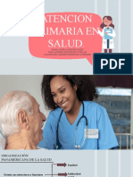 Atencion Primaria en Salud (Exposicion)