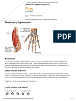 Tendones y Ligamentos - MedlinePlus Enciclopedia Médica Illustración