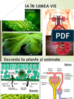 10 - Excreţia La Plante Și Animale - PPT