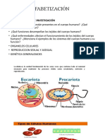 Explicación Etapas PP e Investigacion Guia Alfabetización - 8°