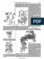 Dwarfs and Giants. (1887) - Scientific American, 23 (589supp), 9413-9414