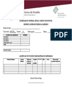 Formato-Reporte Alumnos en Riesgo