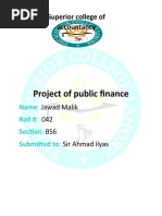 Public Finance Assignment