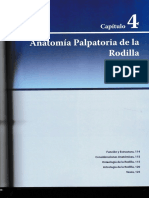 Capitulo 4, Anatomía Palpatoria de La Rodilla