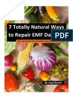 Burrell 7 Totally Natural Ways to Repair EMF Damage