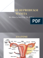 Anatomi Reproduksi Wanita