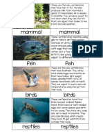 Key differences between vertebrate classes