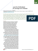 Reactive Gliosis and The Multicellular Response To CNS Damage and Disease. Burda Et Al. 2013