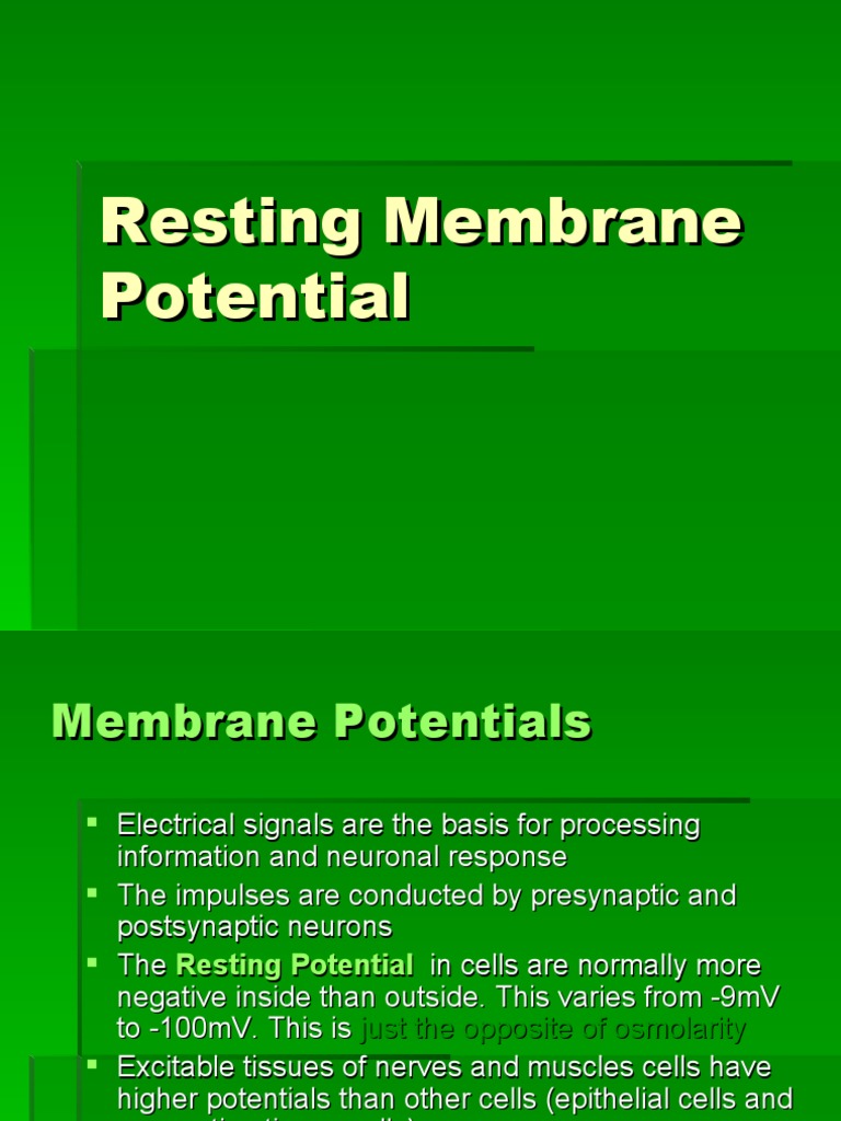 Understanding Resting Membrane Potential | PDF | Membrane Potential ...