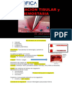 Reparacion Tisular - Hemostasia