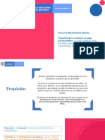 PPT STS Ciclo 3