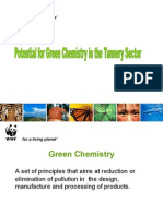 Dr-Anjana-Pant Green Chemicals in Tannery