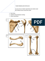 TP Osteology