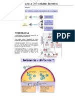 16 Tolerancia Del Sistema Inmune