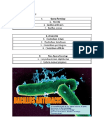 Gram-Positive Bacilli I. Spore-Forming: A. Aerobe: 1. Bacillus Anthracis 2. Bacillus Cereus