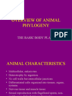 Overview of Animal Phylogeny: The Basic Body Plans