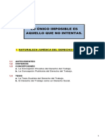 Clase 5 y 8 de Febrero 2021 (Naturaleza, Fuentes e Interpretación Del DT)