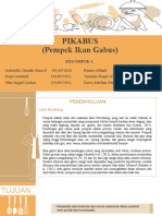 KLP 1 Pikabus (Pempek Ikan Gabus) - 1