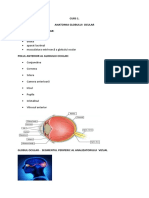 CURS 1. Anatomia globului ocular