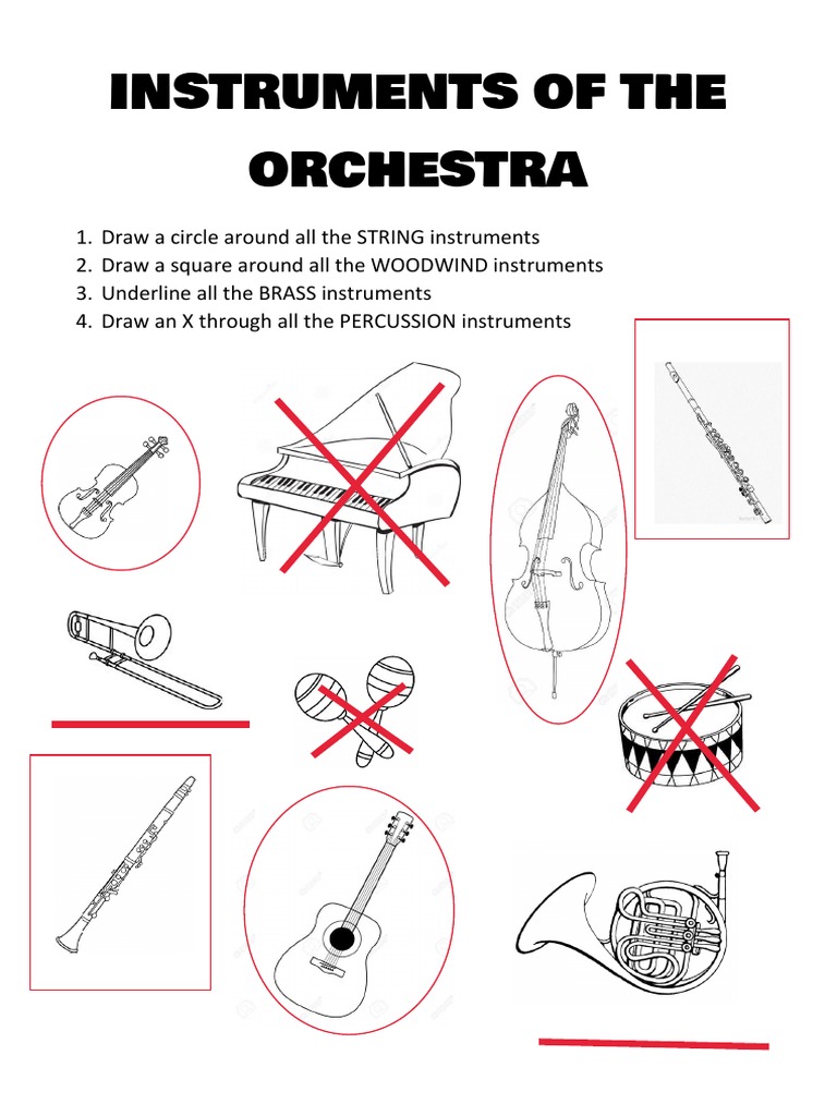 Answers Instruments of The Orchestra PDF